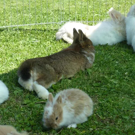 Umbichl By Interhome * Uttendorf