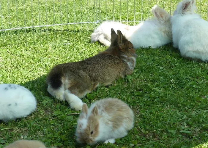 Umbichl By Interhome * Uttendorf