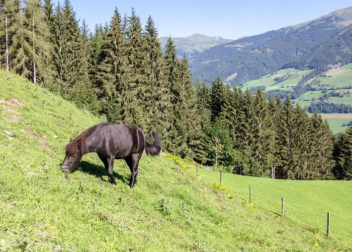 Tatil Evi Umbichl By Interhome *